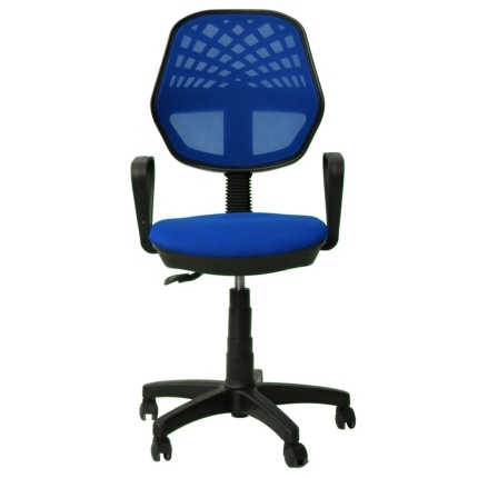 Mavi Fileli Efor Çalışma Koltuğu